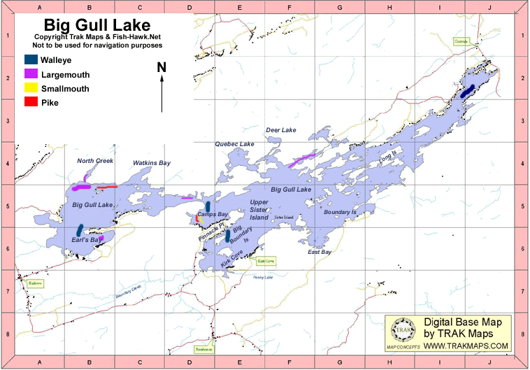 Big Gull Lake Depth Chart