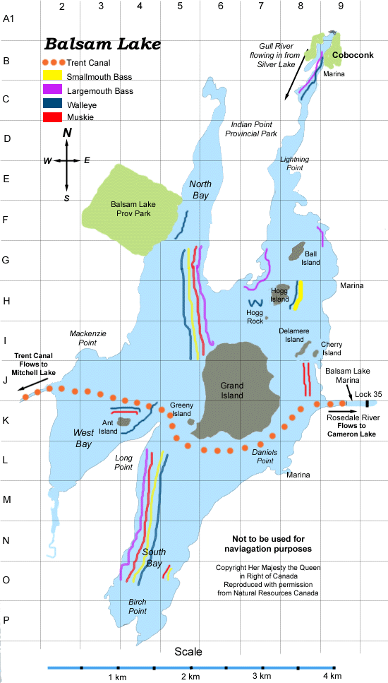 Cameron Lake Depth Chart