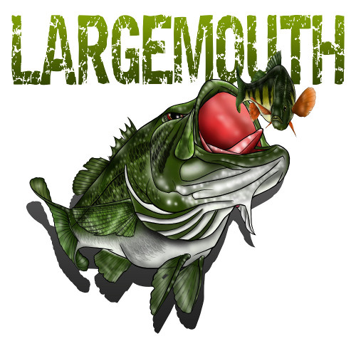 Largemouth-Bass-Decal-500x500-White.jpg