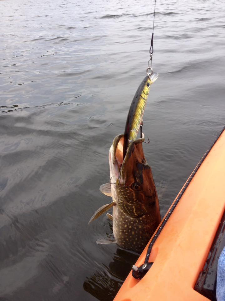 mike das pike.jpg