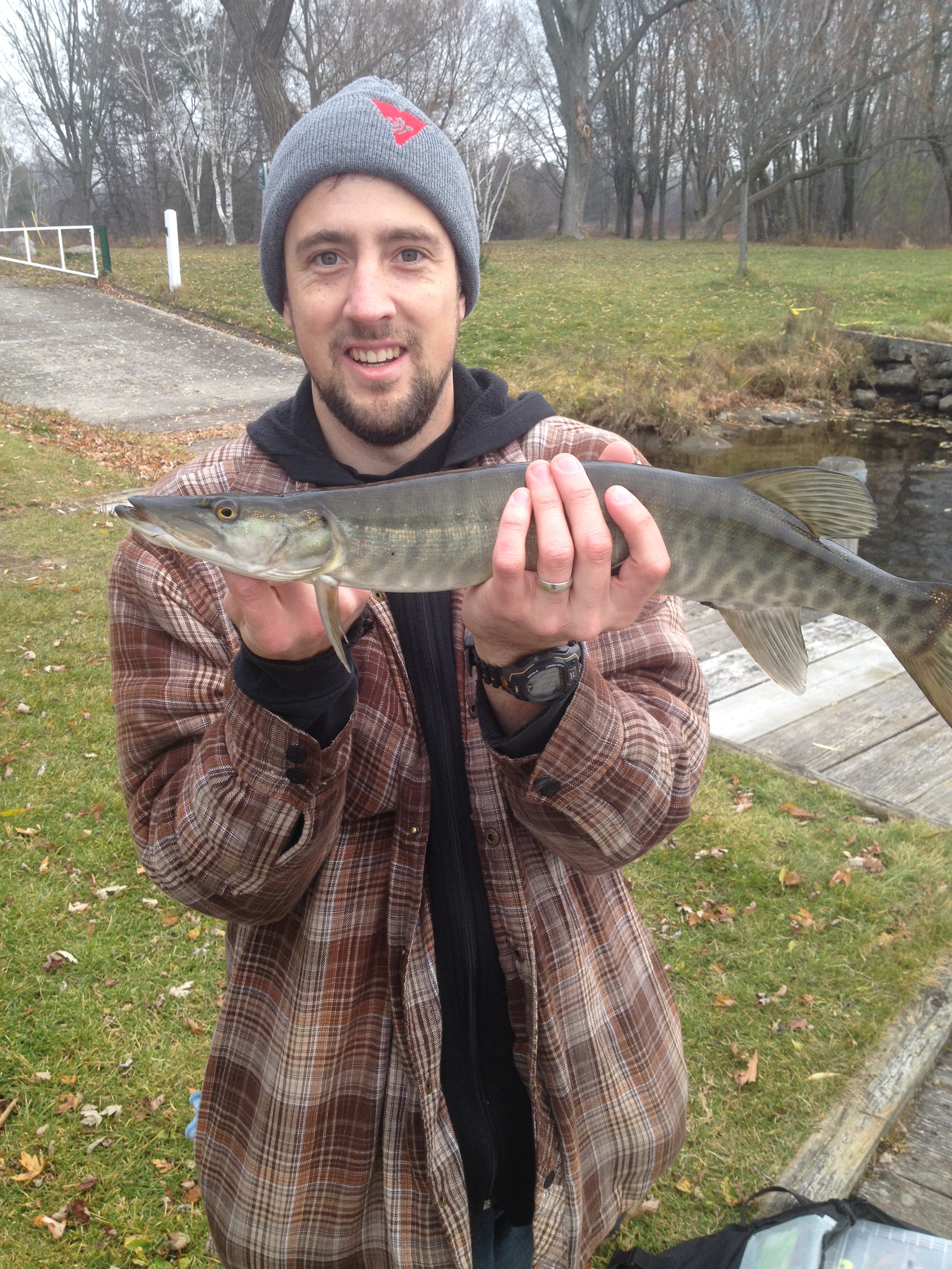 A baby Muskie is still a Muskie