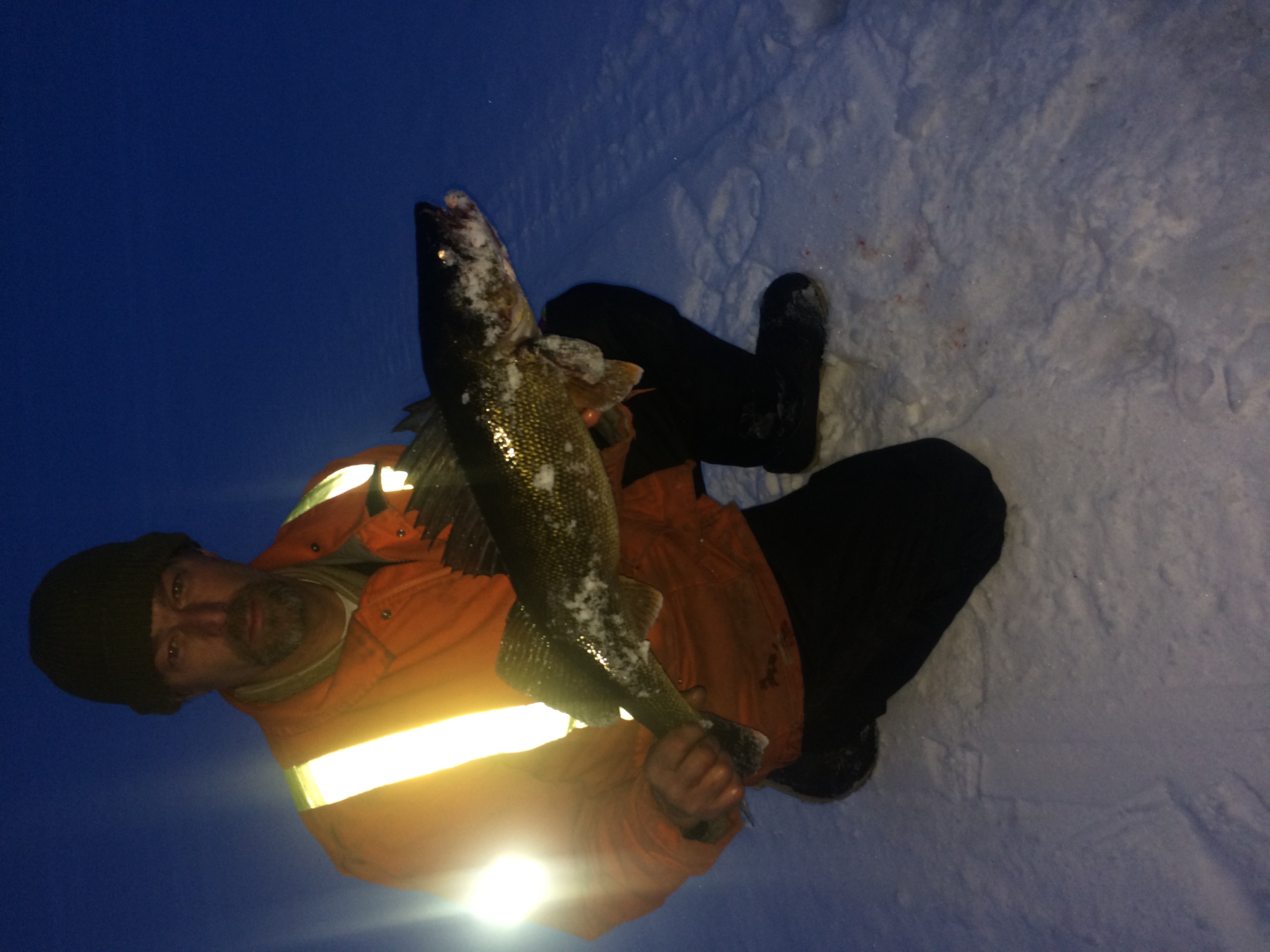 big walleye.jpg