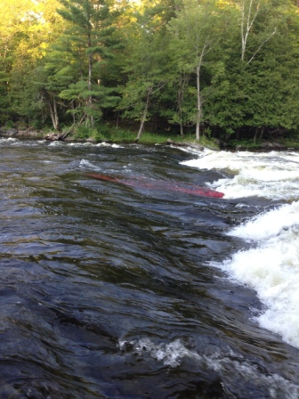 sawtooth rapids.JPG