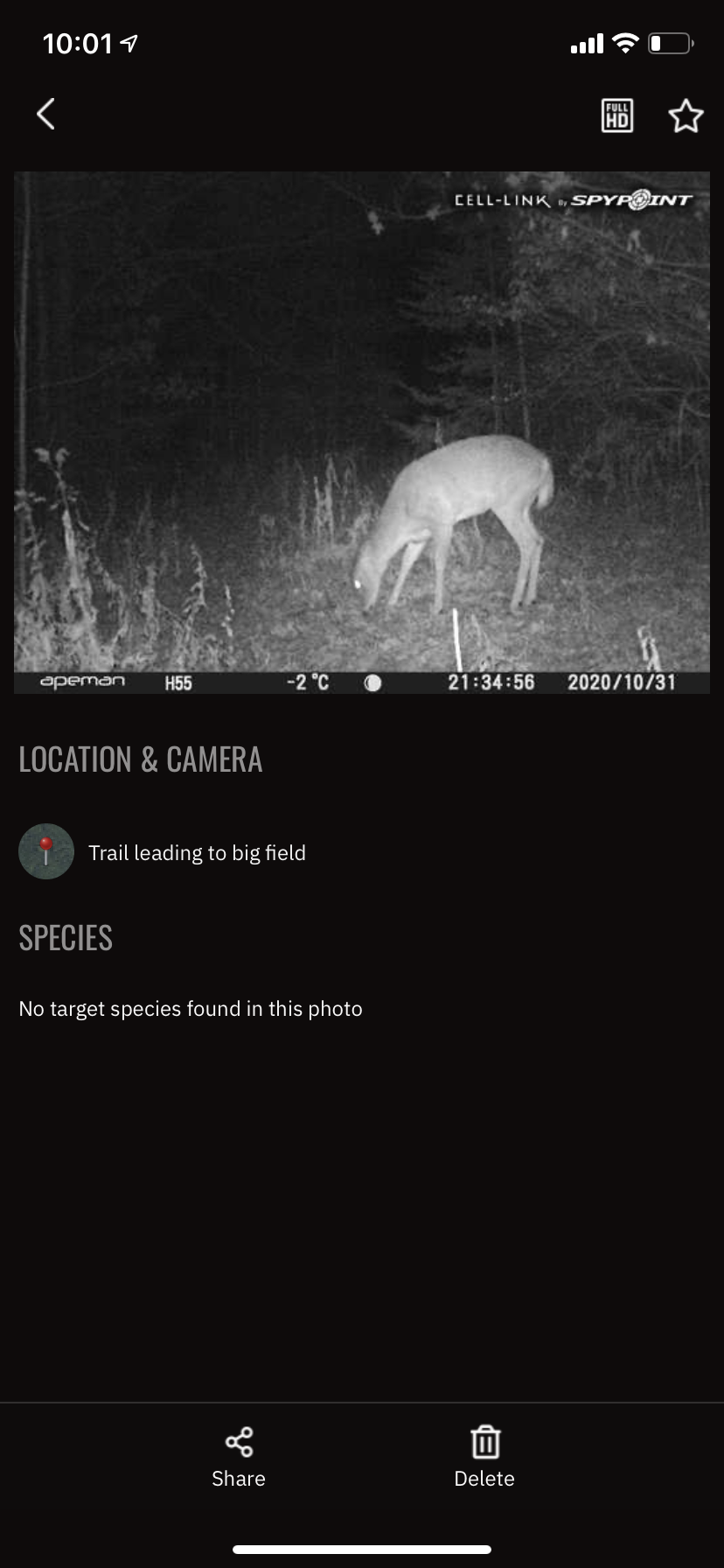 Doe 1 eating