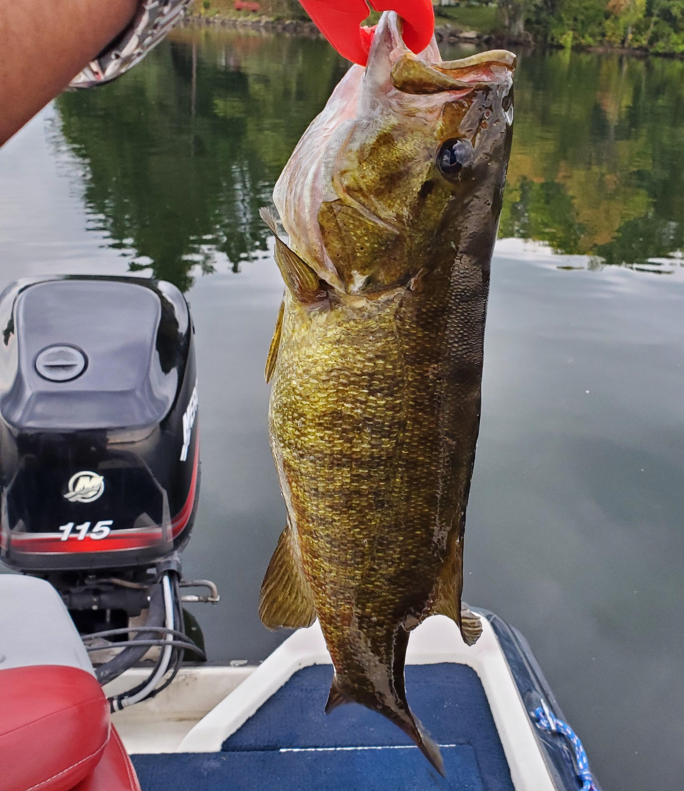 Smallie