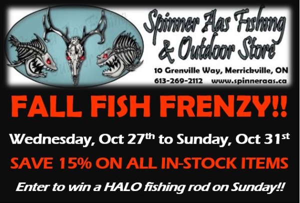 Spinner Aas Fall Fish Frenzy.JPG