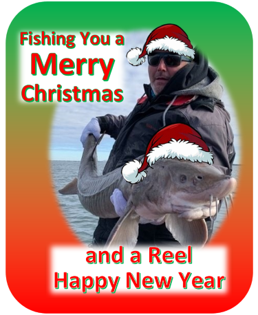 Merry Christmas.PNG