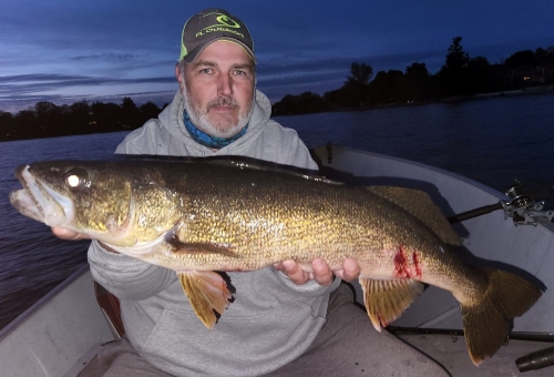 FH 13 walleye.jpg