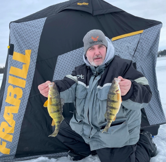Feb 5 perch.jpg