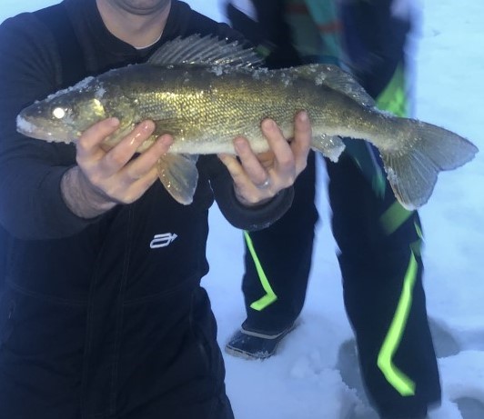 Walleye.jpg