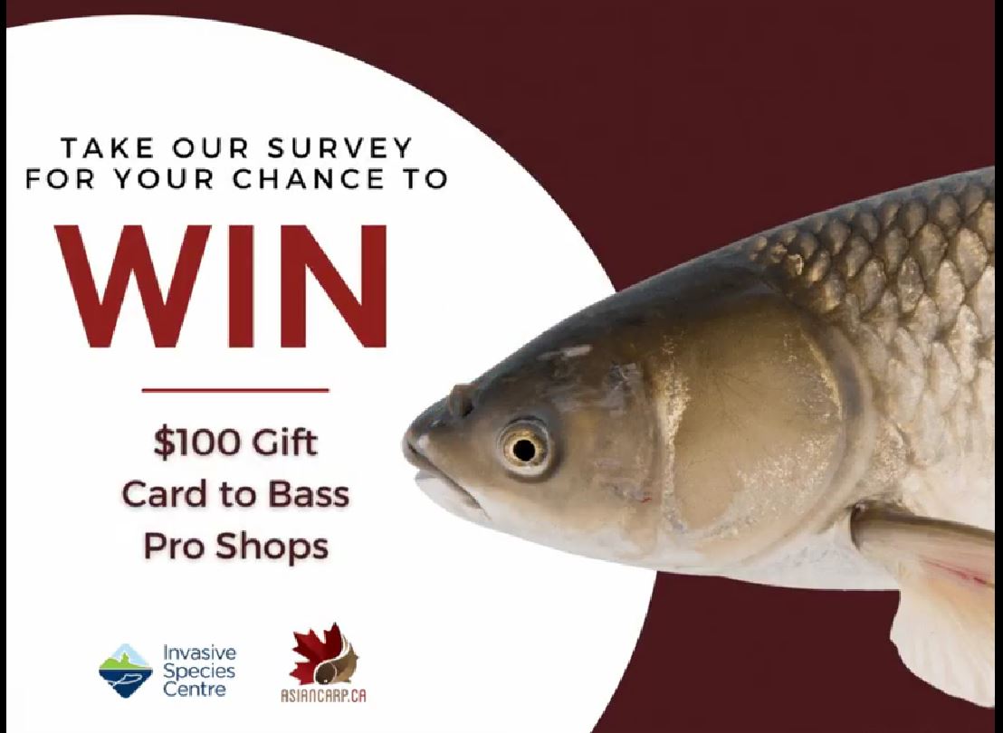 Asian Carp Canada Angler Survey  a chance to WIN a $100 Bass Pro Shop  Gift Card. 