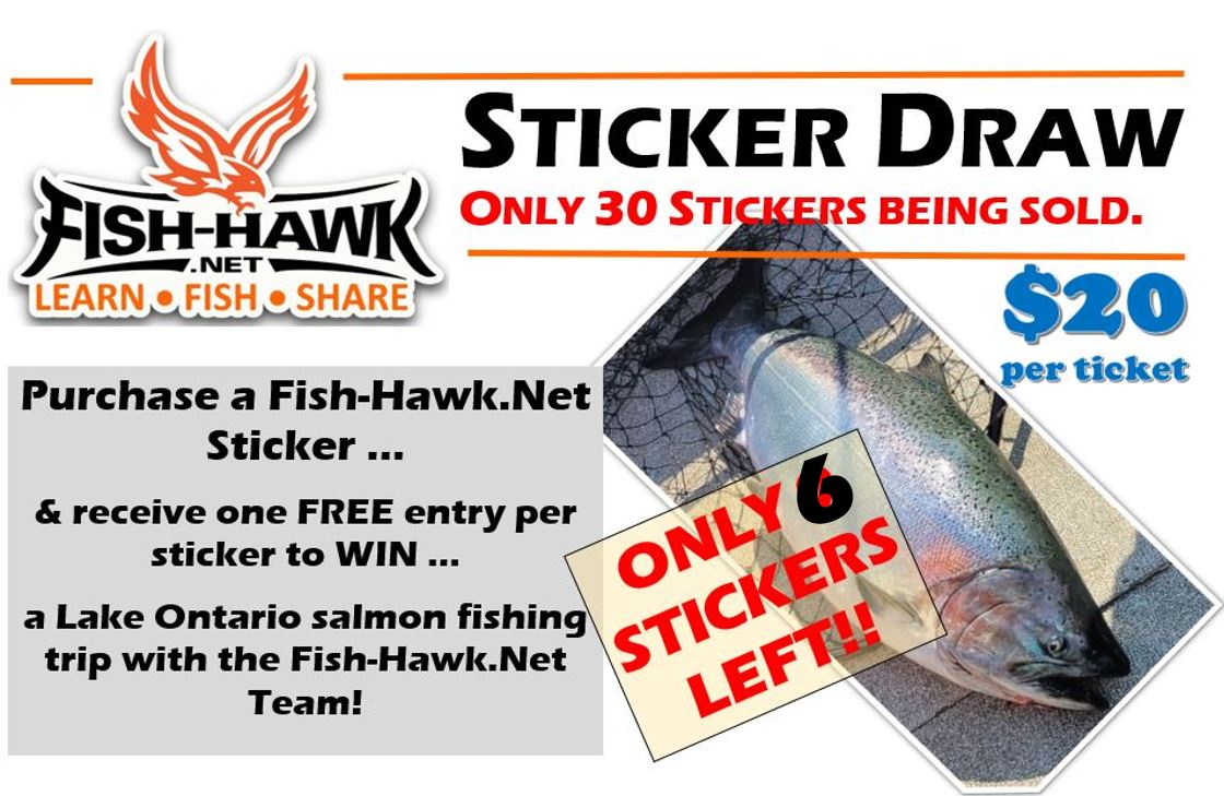 CONTEST!!! Chance to WIN a Day Salmon Fishing!! WINNER!!! - Fish