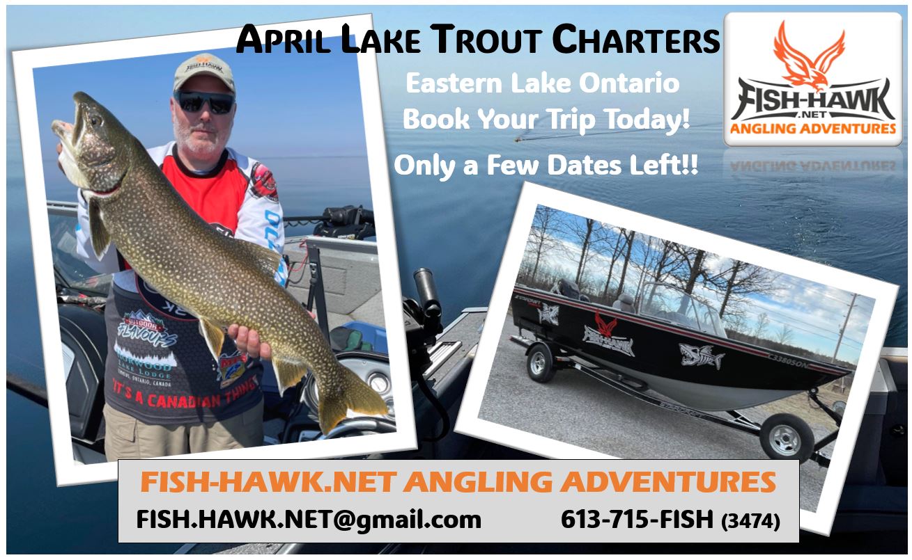 Lake Trout Ad.JPG