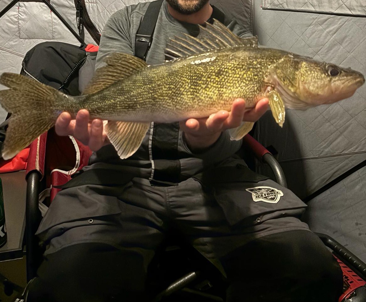 pb walleye by length