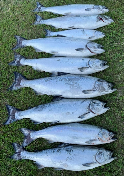 salmon on grass.jpg