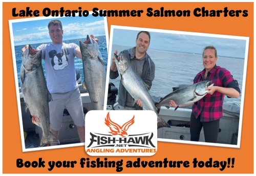 Summer Salmon Ad.jpg