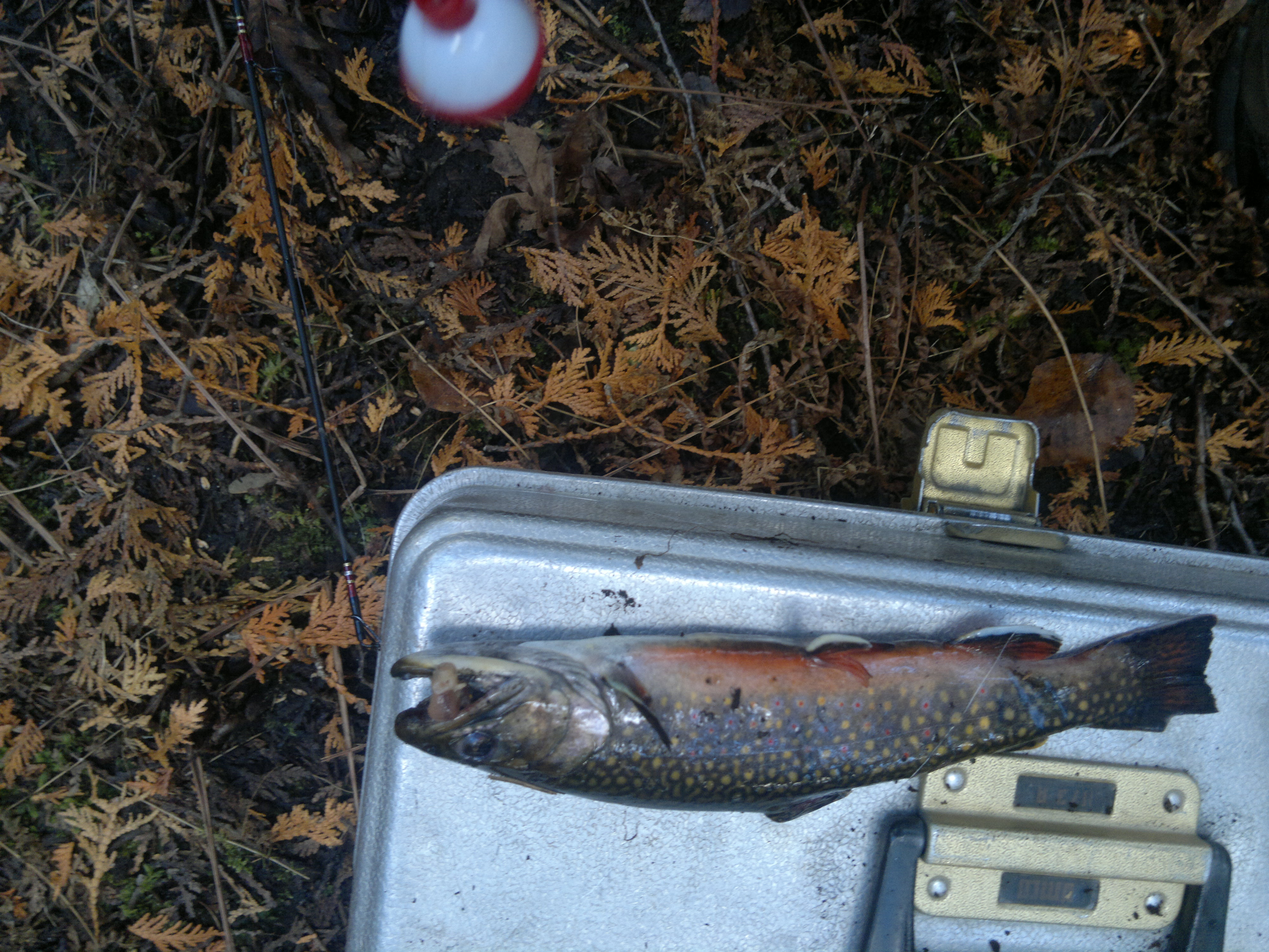 27102013312.jpg