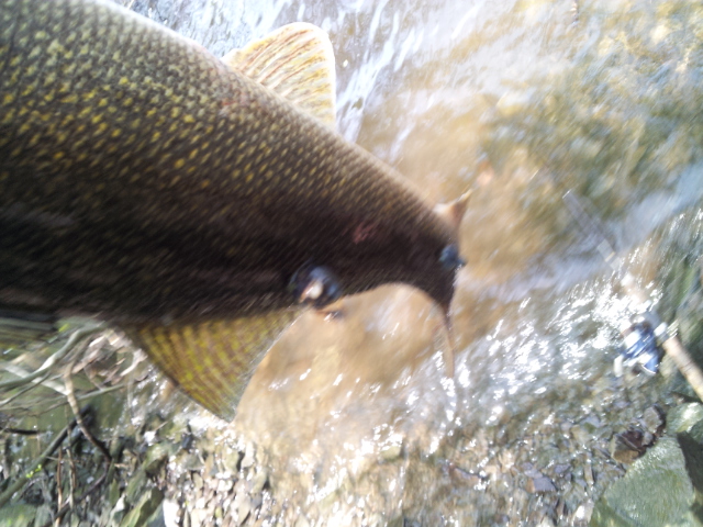 20130520_134930.jpg