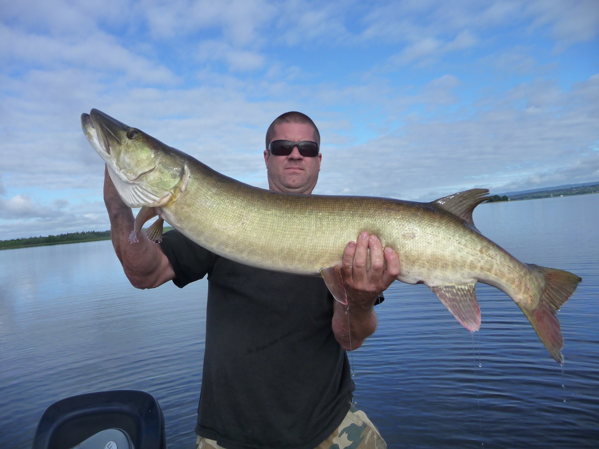 musky 2.jpg