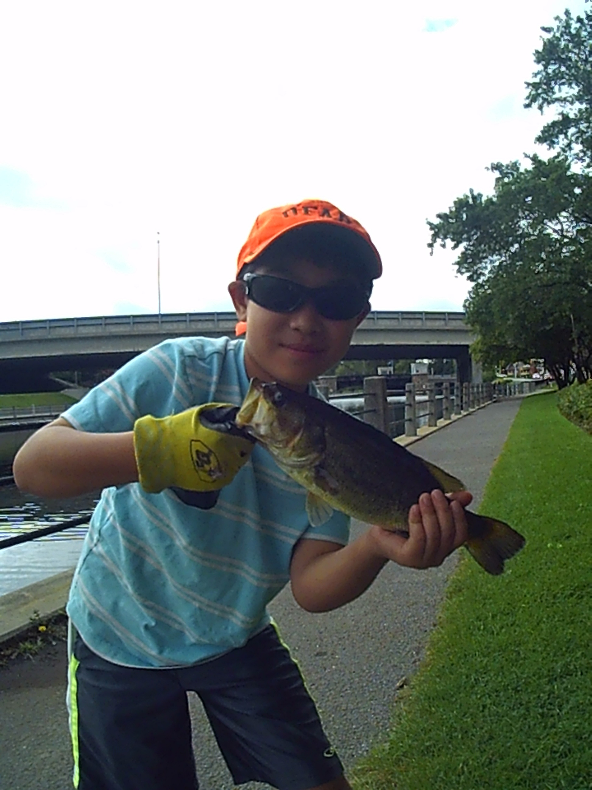 matthew's canal LMB  31 cm. SUNP0013.jpg