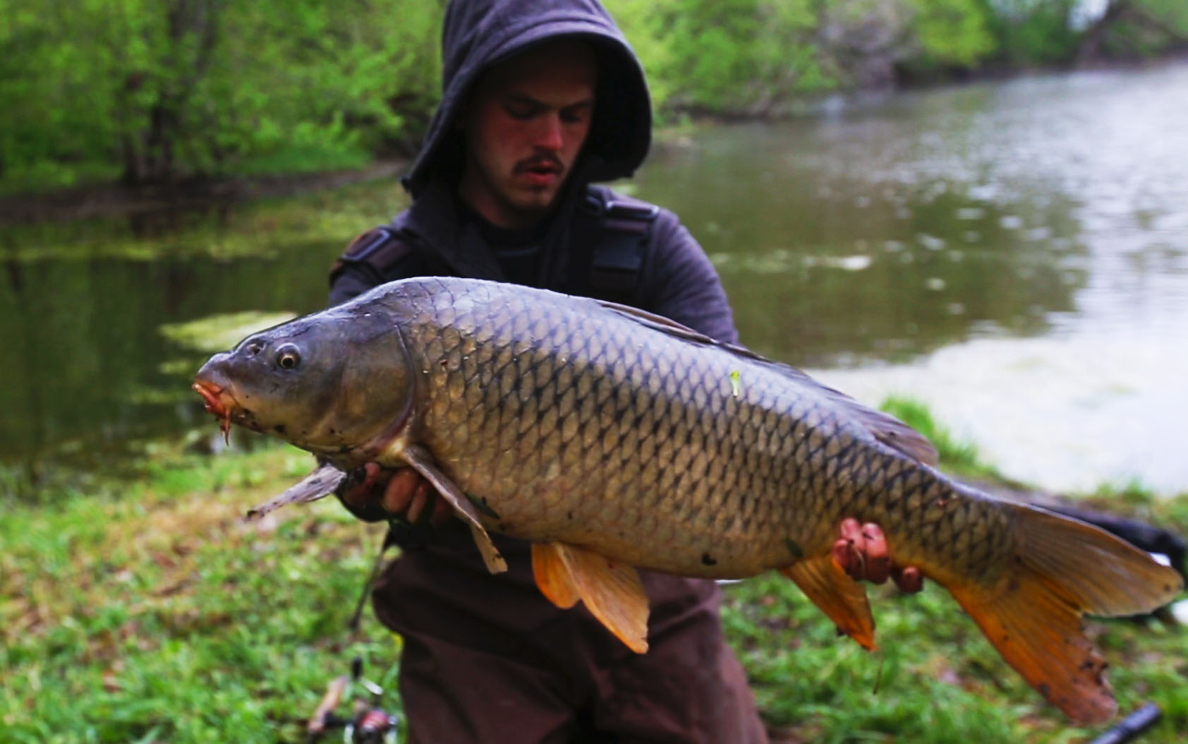Jesse CArp .jpg